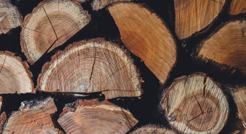 Újra felbukkantak a tűzifa csalók