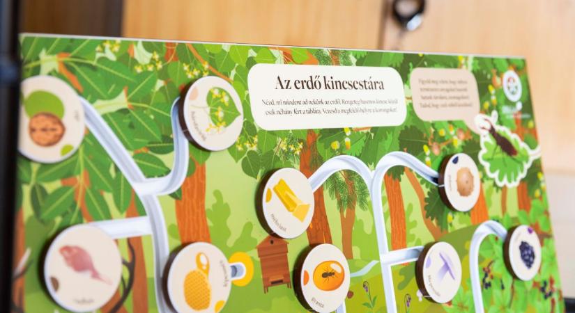 Újabb 500 helyszínen folytatódik az Iskolában az Erdő Program