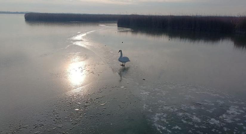Jégre lépett? Ennyibe kerülhet a szabálytalanság