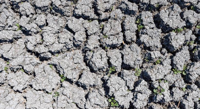 A tavalyi volt a tizedik legszárazabb december 1901 óta