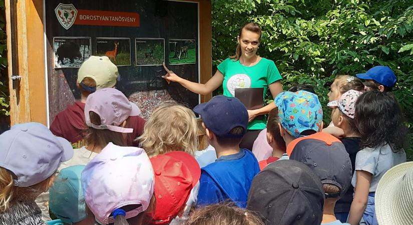 Debreceni diákok is megismerhetik a magyar erdők értékeit