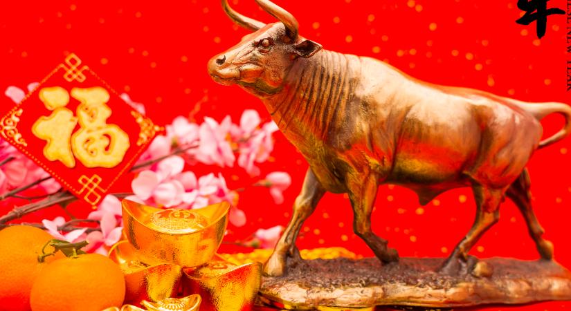 Kínai horoszkóp 2026: bőséget hoz ez az év a Bivalynak