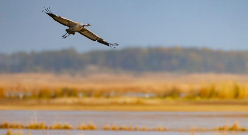 Óriási bajra figyelmeztetnek a szakértők: veszélyben Magyarország különleges természeti értékei