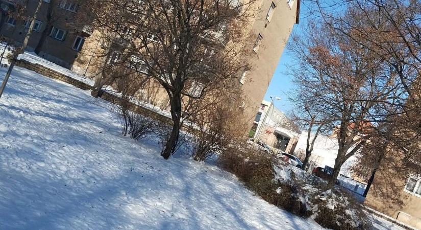 Hatalmas a felháborodás: mérgezett ételt helyezhettek el Pécsen egy óvodánál (FOTÓ)