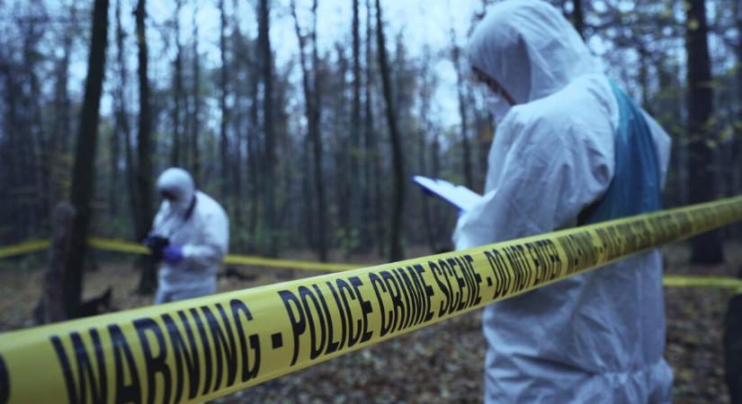 9 éve eltűnt férfi maradványait találták meg – kutyasétáltató bukkant rájuk