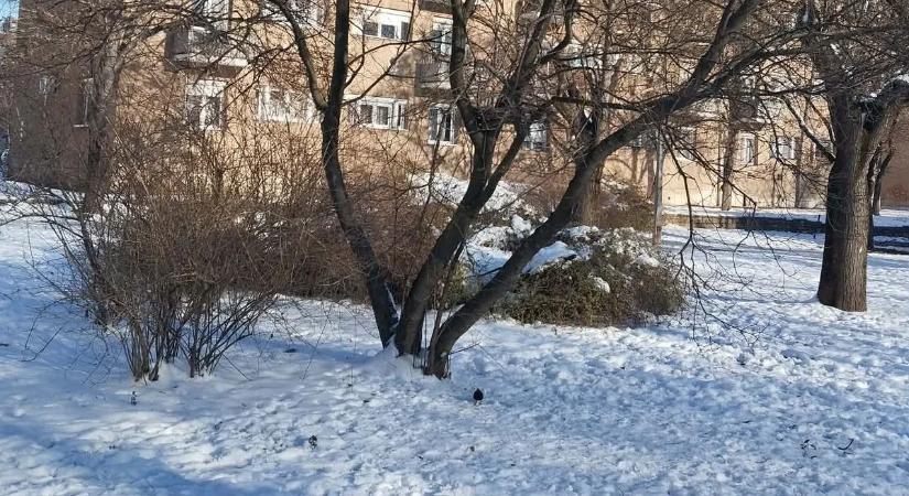 Gyanús ételmaradékok egy pécsi óvoda mellett