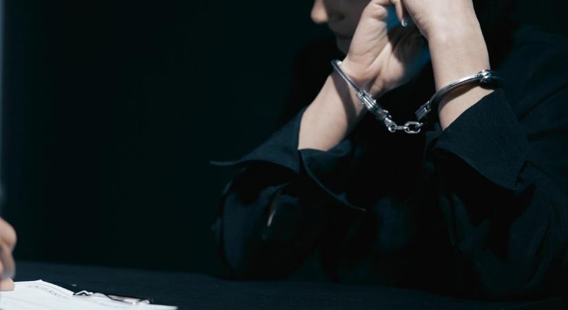 Vásárlónak tettette magát, majd ellopott 7 kutyakölyköt egy lakásból