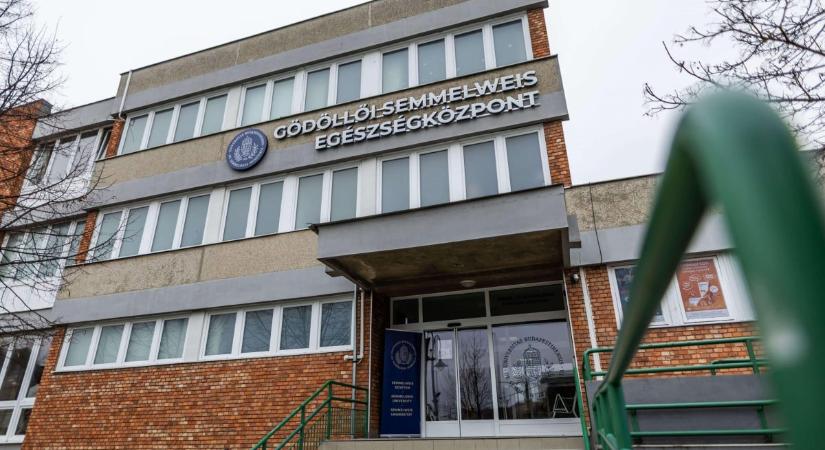 Nem stadion – Előre tervezett, átfogó felújítási munkák zajlanak a Gödöllői Semmelweis Egészségközpontban