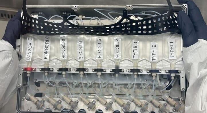 Baktériummal és vírussal kísérleteztek a Nemzetközi Űrállomáson, az eredmény egyértelmű