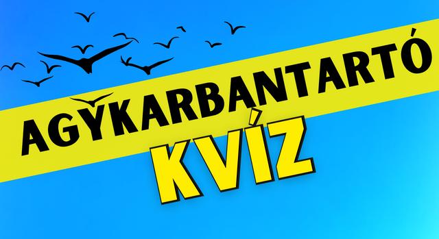 Napi agykarbantartó feladat: 3, 4 vagy 5? Teszteld a vizuális memóriád!