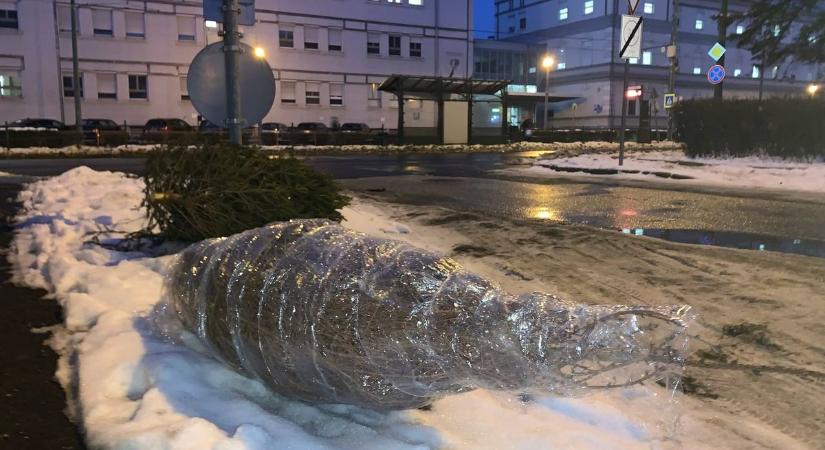 Celluxszal körbetekerve szabadultak meg a megunt karácsonyfától – ezért nem jó ötlet
