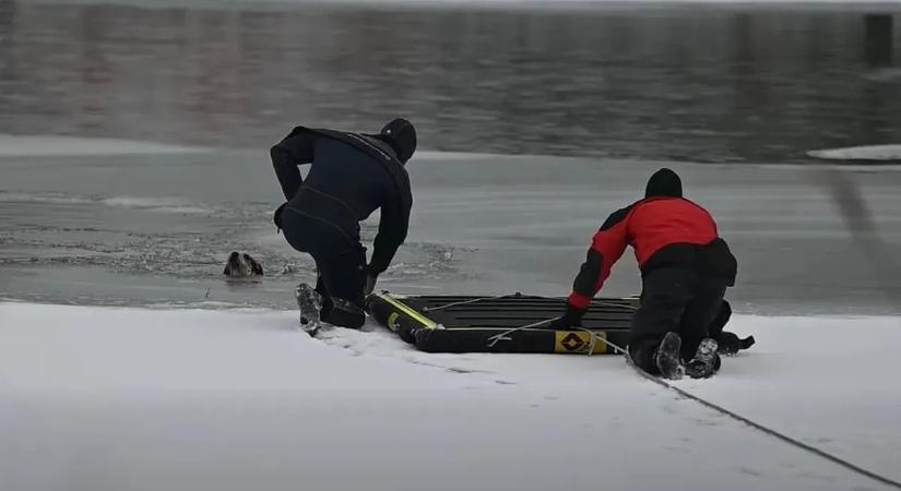 Már a nemzetközi sajtó is a hős magyar tűzoltókról cikkezik