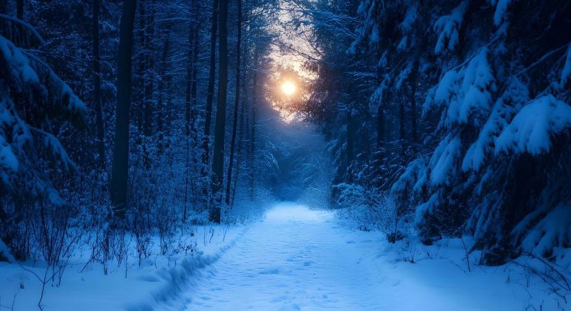 Iszonyatos dolgot találtak a Magyarországon lehullott hóban, valami nagyon nem stimmel