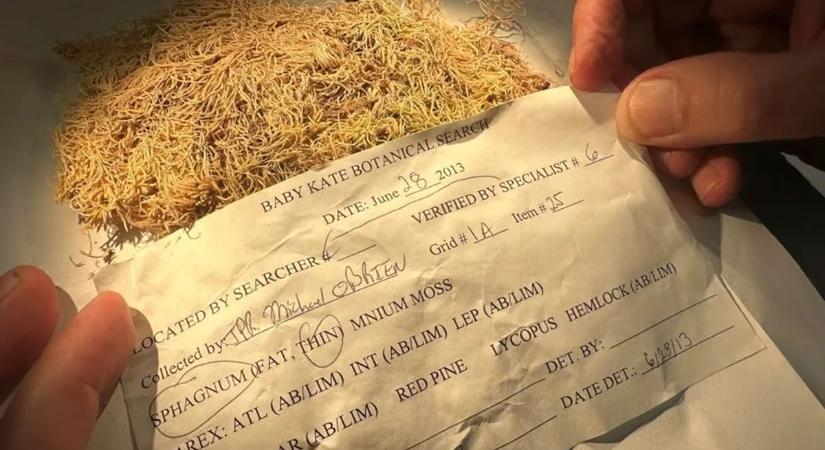 Mohák segíthetnek felderíteni a bűneseteket