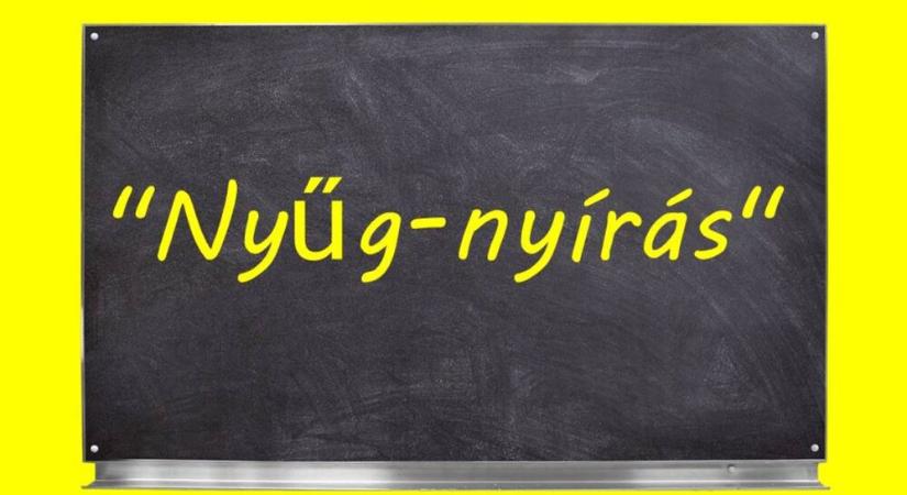 ‘Nyűg-nyírás’ – Diákönkormányzat napja a Bajzában