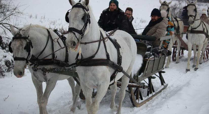 Ez tényleg ritka! Hóban csúszik az egész ország – lovasszánozhatsz még a jövő héten is Szilvásváradon  fotók, videó