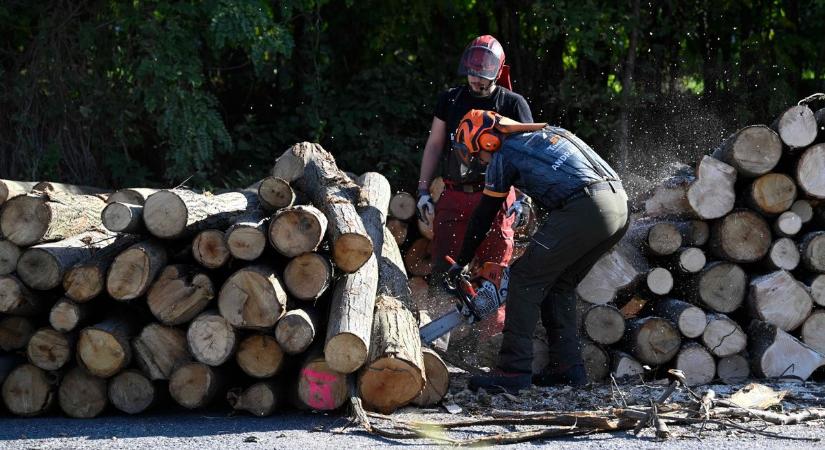 Orbán Viktor: senki sem marad tűzifa nélkül. Vigyázzunk egymásra! (videó)