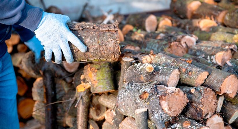 Megindult a segítség: Orbán Viktor szerint senki sem marad tüzelő nélkül