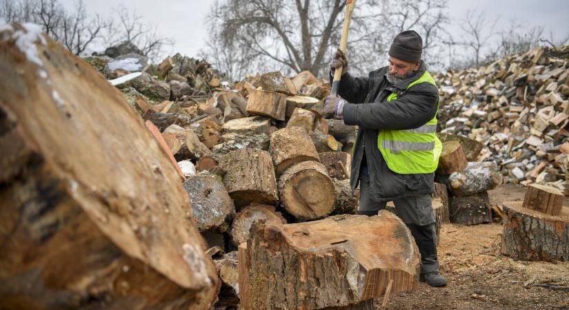 Tűzifaosztást rendelt el a kormány