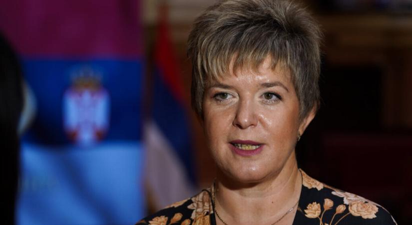 Kovács Elvira fogadja az elnök helyett az EP-delegációt