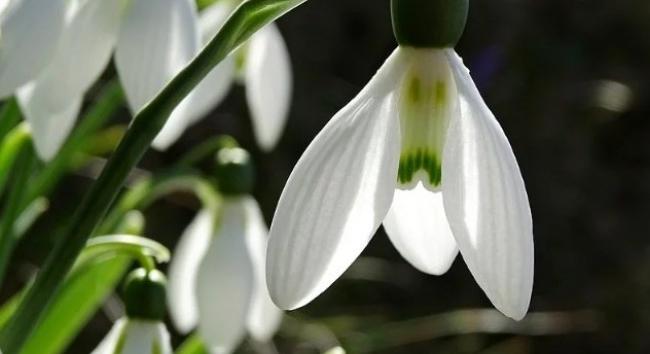 Mikor van húsvét 2026-ban? Húshagyókedd, hamvazószerda és a farsang vége - pontos dátumok