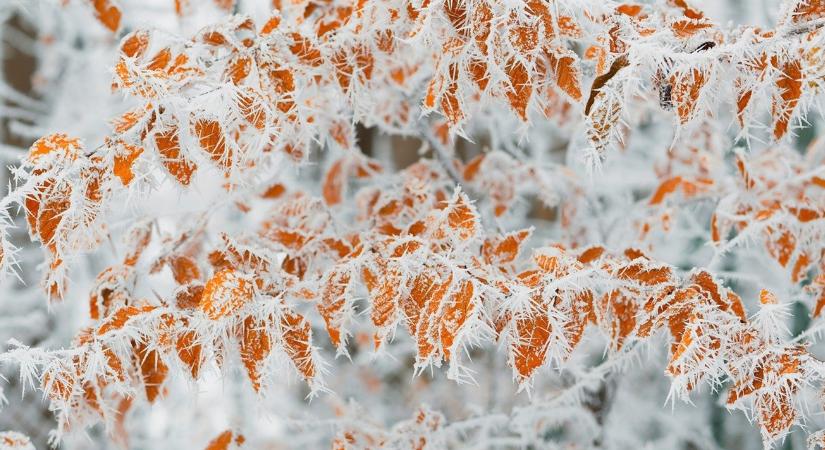 Felmelegedés kezdődik, de nem lesz benne köszönet