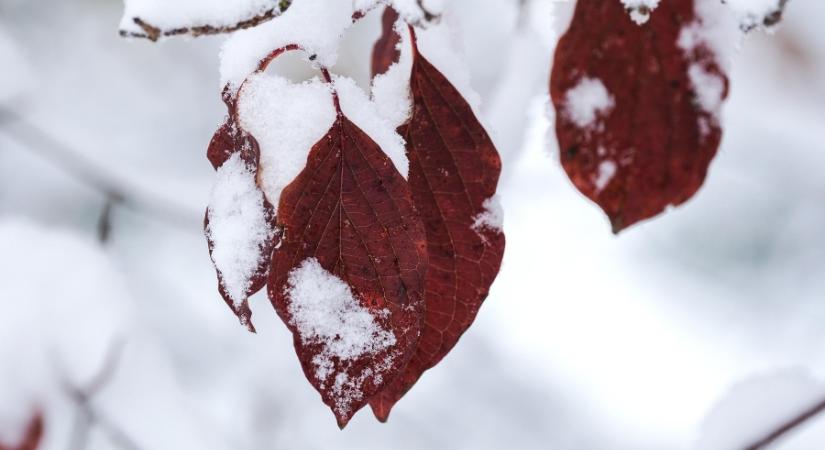 Helyenként még próbálkozik az enyhülés, de az ország nagy részén a tél lesz az úr