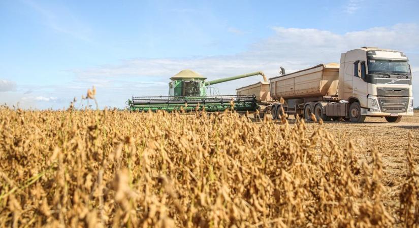 Fejlesztői kerekasztal: Miért fontos a termőhely–tenyészidő–érésidő megfelelő összehangolása?