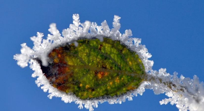 Köd, ónos eső, havazás is várható csütörtörkön