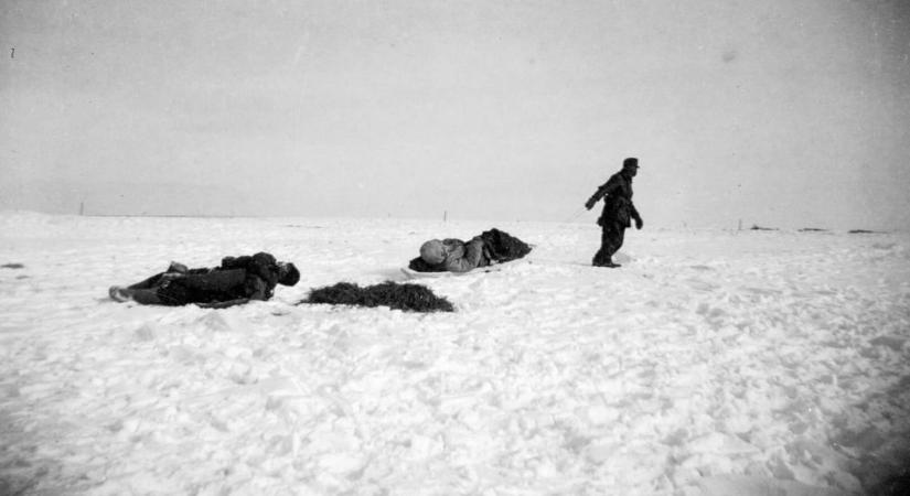 „Döglovakból élek, nem tudom, meddig fogom bírni” A 83 éves Don-kanyari katasztrófa képei