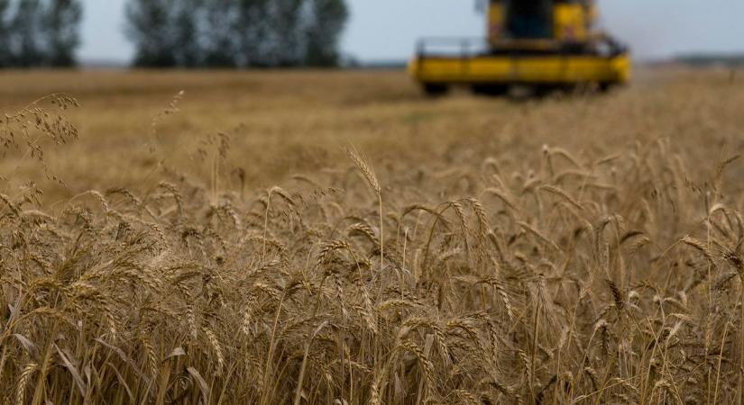 Öt banknak tartozik Kósa Lajos rokonának agráripari cége, köztük Mészáros Lőrincének