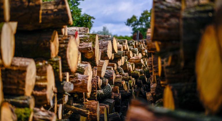 Kijött a rendelet: ingyen adja a tűzifát a kormány, azt is tudni, hogy meddig