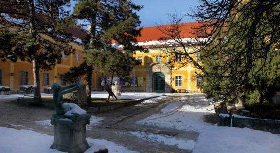 KISCELLI ÚJÉV – Rendhagyó tárlatvezetések és extra programok – 2026. január 17.