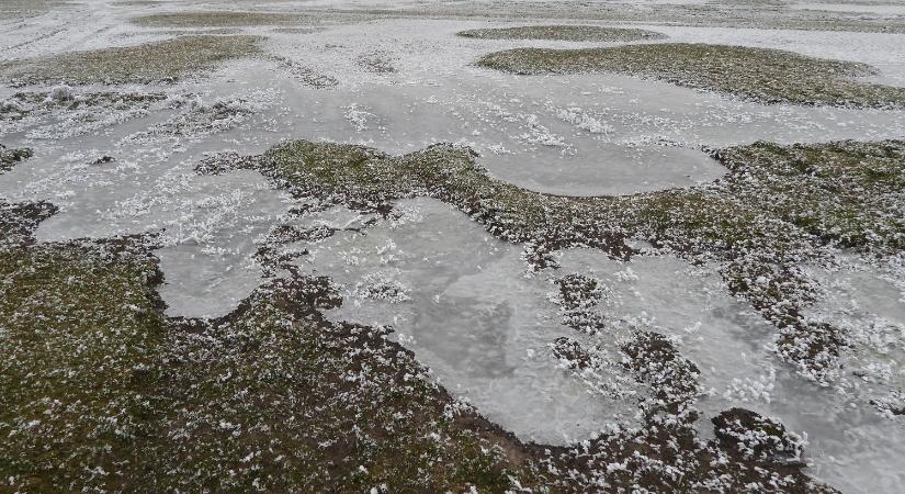 Januári élmények a Hortobágyon – természet, tudomány és csillagos ég