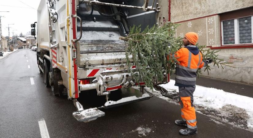 Ezer dolgozójának túlórát rendelt el a Mohu Budapest