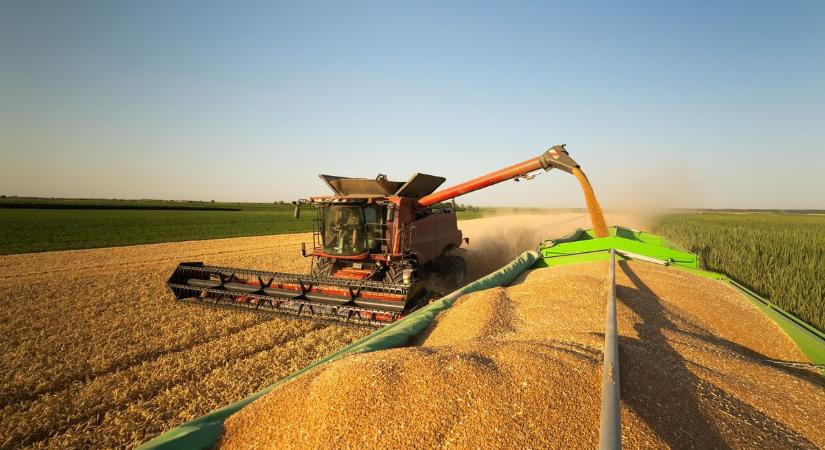 Bászna Gabona-botrány: állami beavatkozás jön, nem lesz második Hajdú-Bét – így kártalanítják a gazdákat