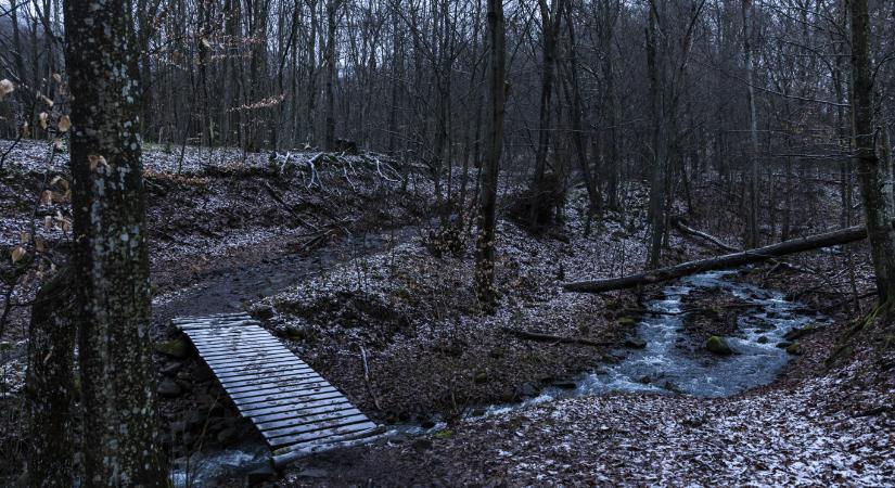 Meglőtt egy túrázót, pénzbüntetést kapott a vadász