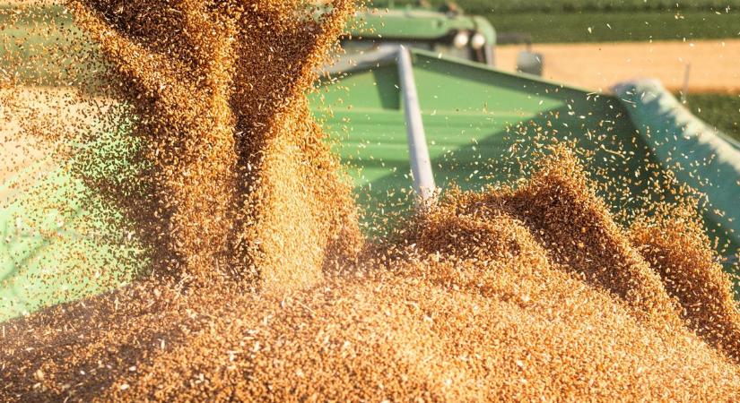 Minden gazdát kifizetnek a Bászna Gabona csődje után – rendkívüli kormányzati döntés született