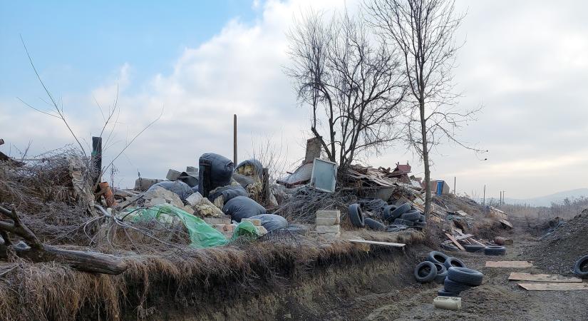 Hargita megye: tavaly több mint kétmillió lejre büntetett a környezetőrség