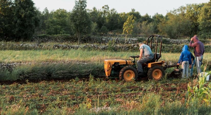 Jó hír: Idén tovább bővülnek az őstermelők adókedvezményei