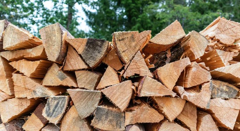 A Magyar Honvédség segít a tűzifa kiszállításában