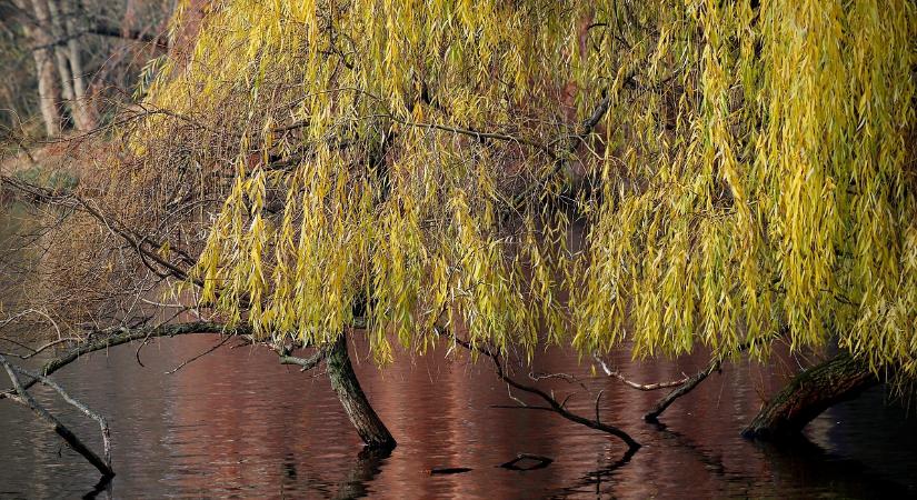 Műtrágyát szállító hajók süllyedtek el, figyelik a Duna vízminőségét