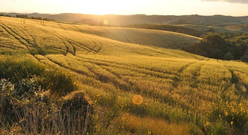 Támogatásmegvonás járhat ezért a szabályszegésért