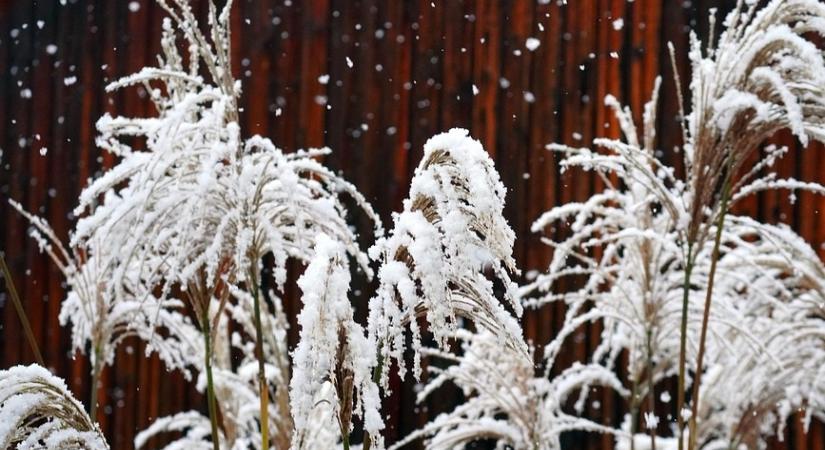 Ónos esőre és sűrű ködre figyelmeztetnek számos vámegyében