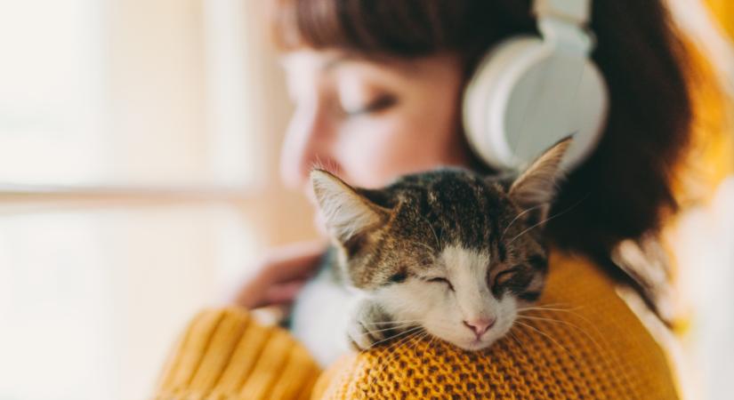 Így barátkozhatsz össze a leggyorsabban egy macskával