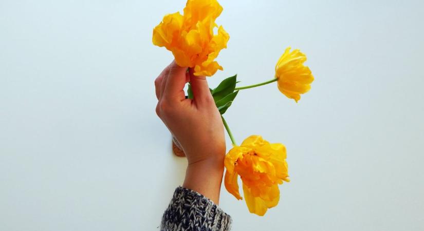 That girl akar lenni mindenki – de tényleg ilyen tökéletes az a lány az Instagramon?