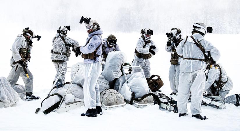 NATO-erődemonstráció Grönlandon: jelzés Koppenhágának és Trumpnak