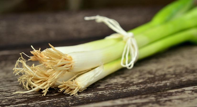 Újévi árrobbanás a lengyel póréhagyma-piacon