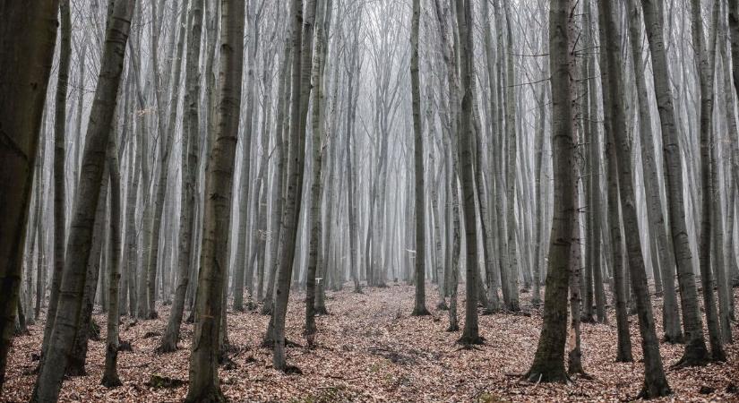 Veszélyes lehet a kirándulás: népszerű turistautakat zárnak le a Bükkben