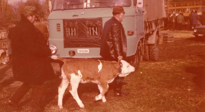 Amikor megszólít a múlt: felhívást adtak ki az országos vásár szervezői, ezt kérik mindenkitől